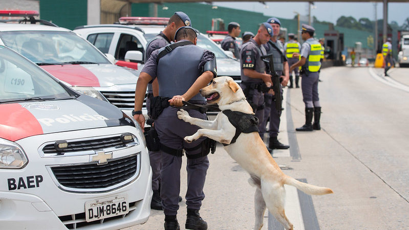 As equipes atuarão em toda a malha rodoviária paulista; também haverá reforço nos litorais norte e sul e estâncias turísticas